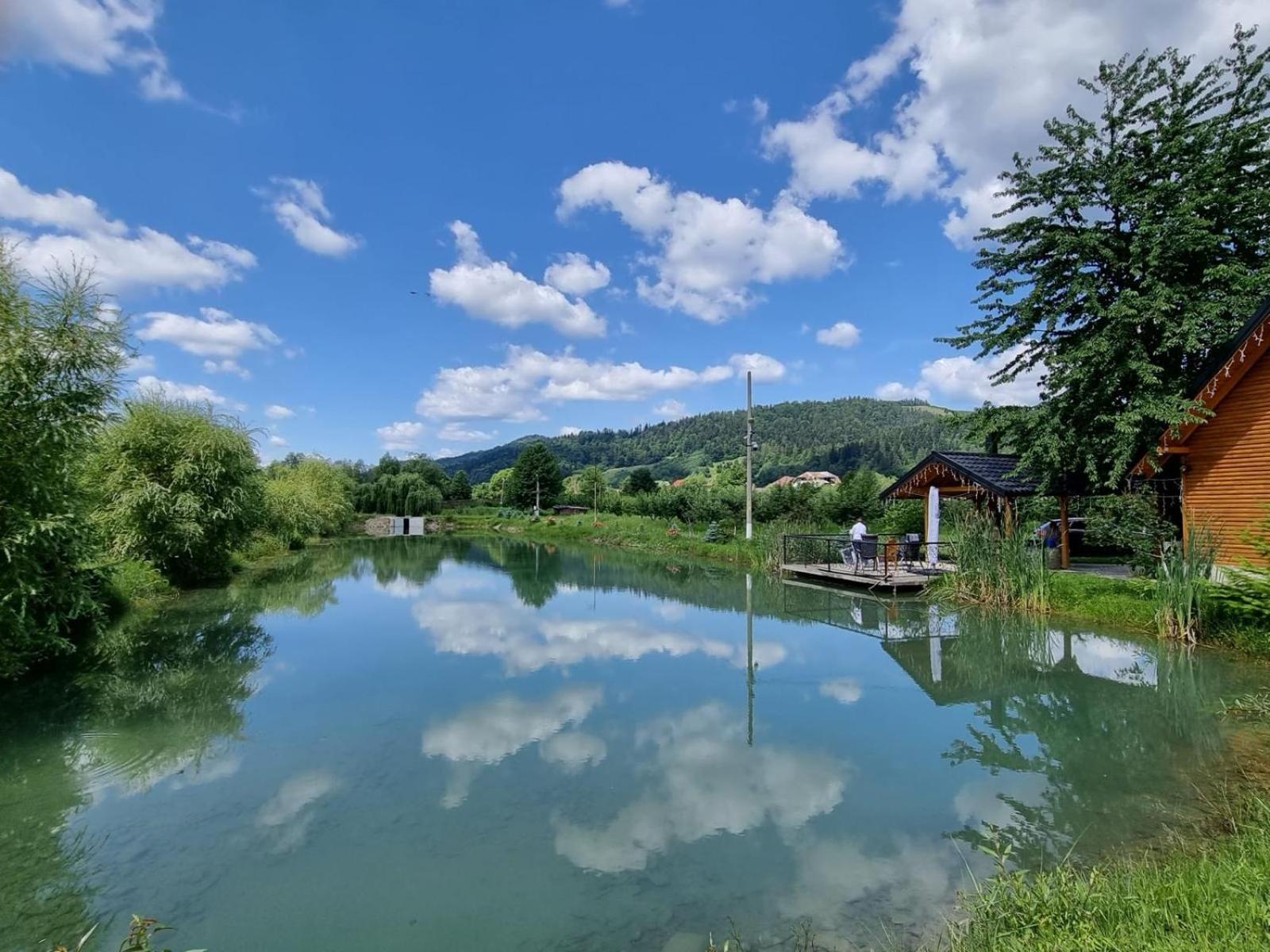 Moonlake Chalet Gainesti Extérieur photo